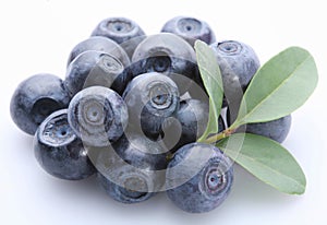 Bilberry