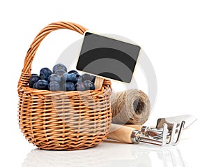 Bilberry in a basket to the board for text
