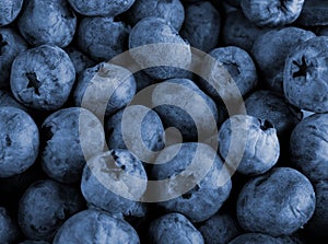 Bilberry berries close up
