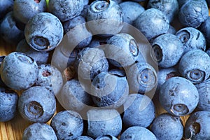 Bilberry Close Up