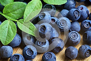 Bilberry Close Up