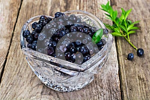 Bilberry in Crystal Bowl on Rustic Background