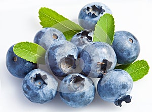 Bilberry on a white