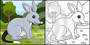 Bilby Animal Coloring Page Colored Illustration