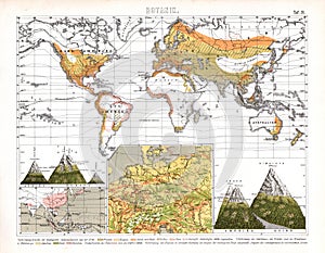 Bilder Botanical World Map showing Regional Biomes