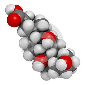 Bile acid (cholic acid, cholate) molecule. Cholic acid is the main bile acid in humans. Atoms are represented as spheres with photo