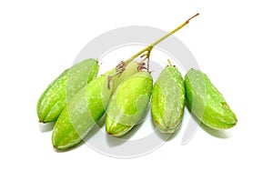 Bilimbi fruits