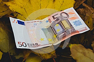 The bill of fifty Euros lies on the fallen yellow autumn leaf, the concept of the fall of the Euro
