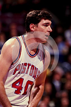 Bill Laimbeer, Detroit Pistons