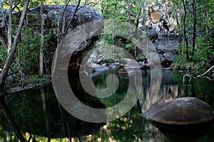 Billabong - Kakadu , Australia