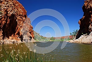 Billabong. Northern Territory, Australia