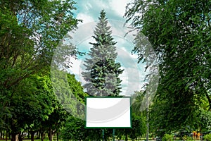 Billboard with copy space in park. Blank poster board among green trees and under blue sky. Banner panel with white background to