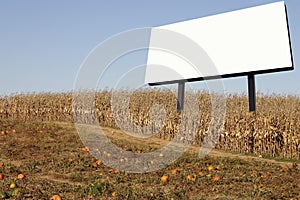 Billboard in a corn field