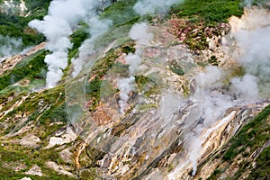 Billowing steam in the Valley of Geysers in Kamchatka