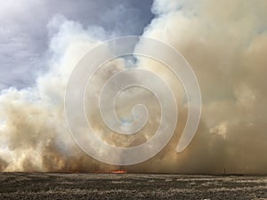 Billowing white clouds of smoke from a brush fire