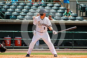 Billy Fleming, Charleston RiverDogs