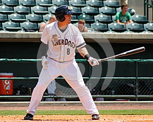 Billy Fleming, Charleston RiverDogs