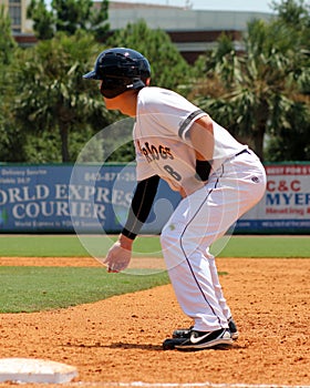 Billy Fleming, Charleston RiverDogs