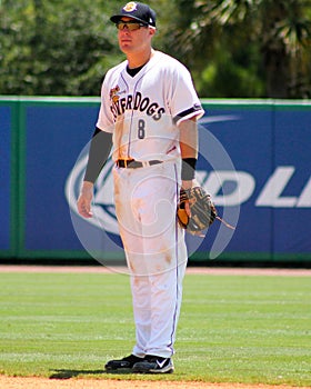 Billy Fleming, Charleston RiverDogs
