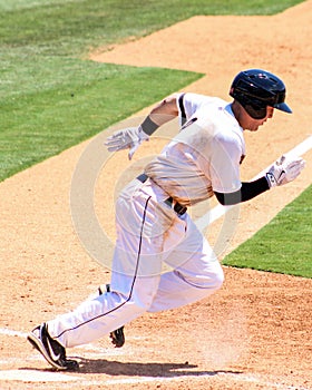Billy Fleming, Charleston RiverDogs