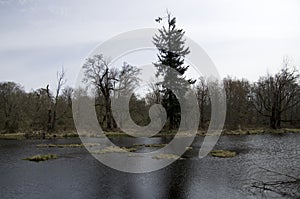 Billy Frank Jr. Nisqually National Wildlife Refuge