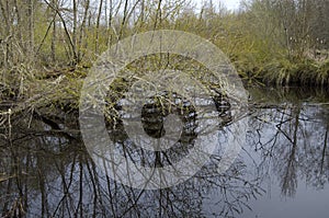 Billy Frank Jr. Nisqually National Wildlife Refuge