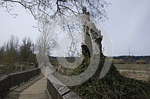 Billy Frank Jr. Nisqually National Wildlife Refuge photo