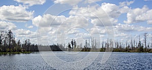 Billys Lake, Okefenokee Swamp National Wildlife Refuge