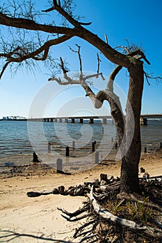 Biloxi Bay