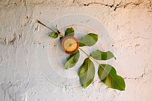 Bimetallic thermometer on a white wall. A sheet of walnut