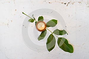 Bimetallic thermometer on a white wall. A sheet of walnut