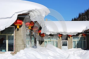 The bimodal forest farm in heilongjiang province - Snow Village