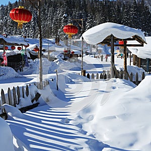 The bimodal forest farm in heilongjiang province - Snow Village photo