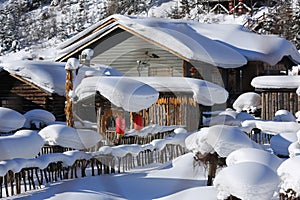 The bimodal forest farm in heilongjiang province - Snow Village photo