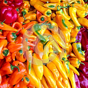 Bin of colorful peppers