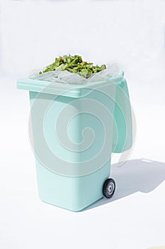 A bin filled with materials that comprise green waste, such as kitchen food wastes and plant trimmings.