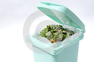 A bin filled with materials that comprise green waste, such as kitchen food wastes and plant trimmings.