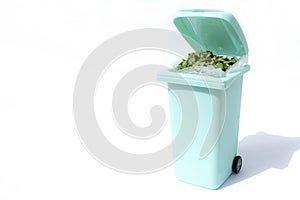 A bin filled with materials that comprise green waste, such as kitchen food wastes and plant trimmings.