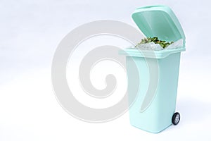 A bin filled with materials that comprise green waste, such as kitchen food wastes and plant trimmings.