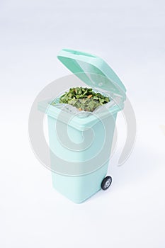 A bin filled with materials that comprise green waste, such as kitchen food wastes and plant trimmings.