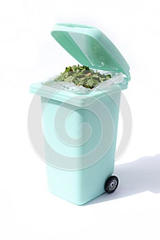 A bin filled with materials that comprise green waste, such as kitchen food wastes and plant trimmings. photo