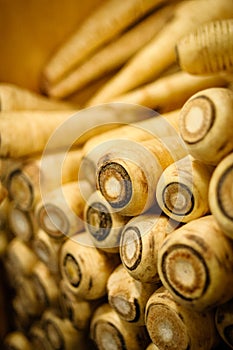 A Bin of Fresh Parsnips