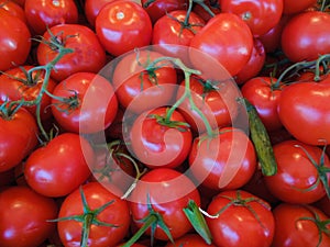Bin of Fresh Red Tomato