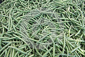 Bin of green beans