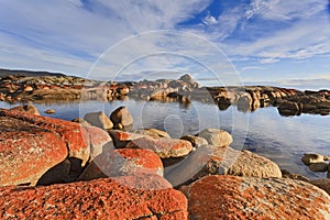 Binalong Bay Red Rocks Day