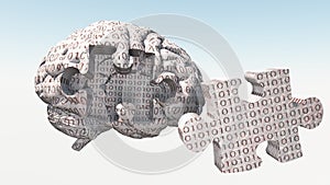 Binary Brain Puzzle