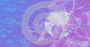 Binary code and data processing over digital globe image