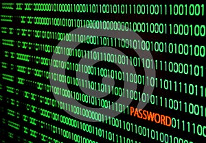 Binary code with password theft