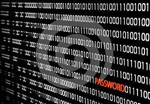 Binary code with password theft