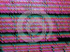 Binary code Software development.
